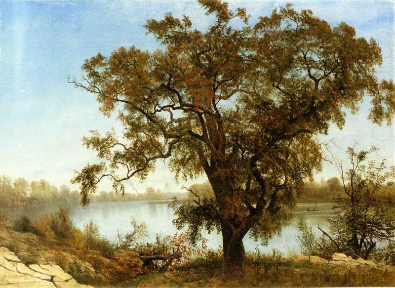 Albert Bierstadt A View From Sacramento china oil painting image